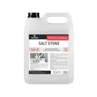 SALT STONE, моющий концентрат против высолов на фасадах,  Pro-brite
