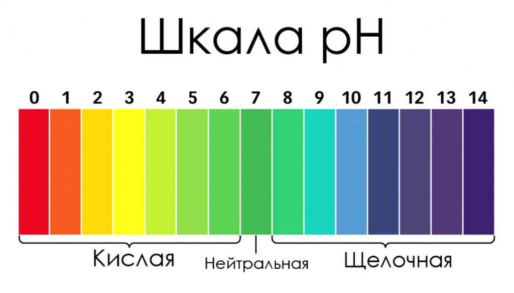shkala-2.jpg